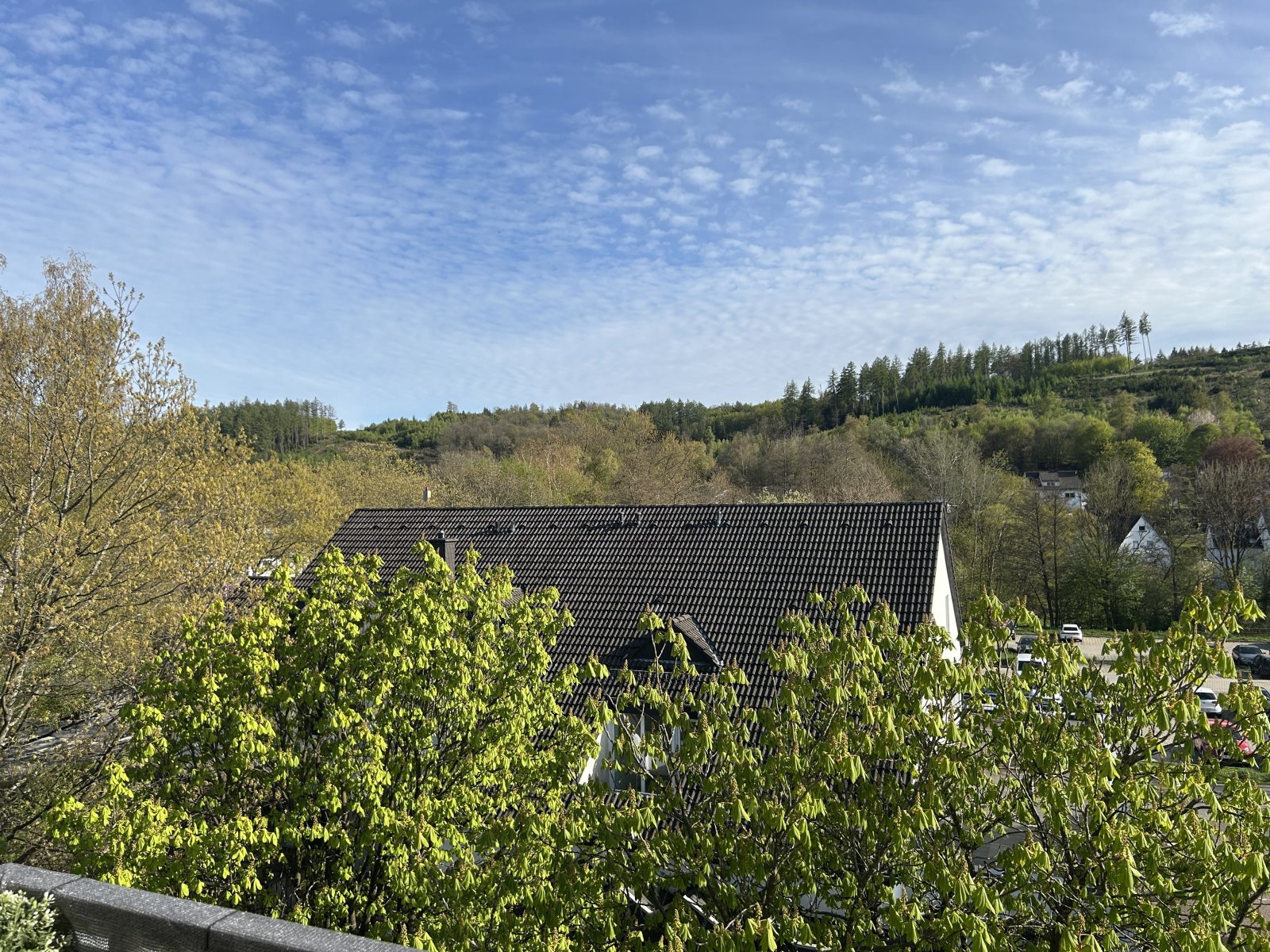 Weitblick
